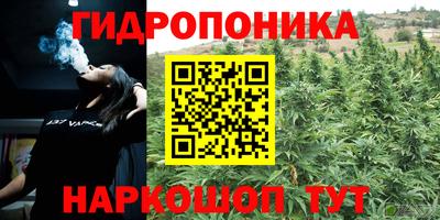 шишки Заводоуковск