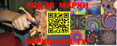 гидропоника Заволжье