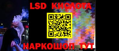 шишки Заводоуковск