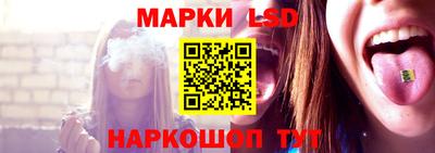 шишки Заводоуковск
