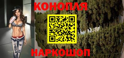 шишки Заводоуковск
