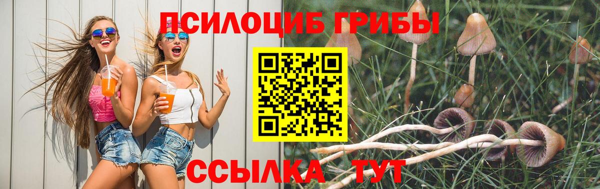 Тамбов  Галлюциногенные грибы прущие грибы  Вход с VPN 