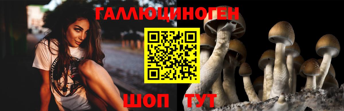 Лсд 25  COCAIN  Вход с VPN  Alpha-PVP СОЛЬ   Бошки Шишки  ГАШ  Тамбов  Меф  